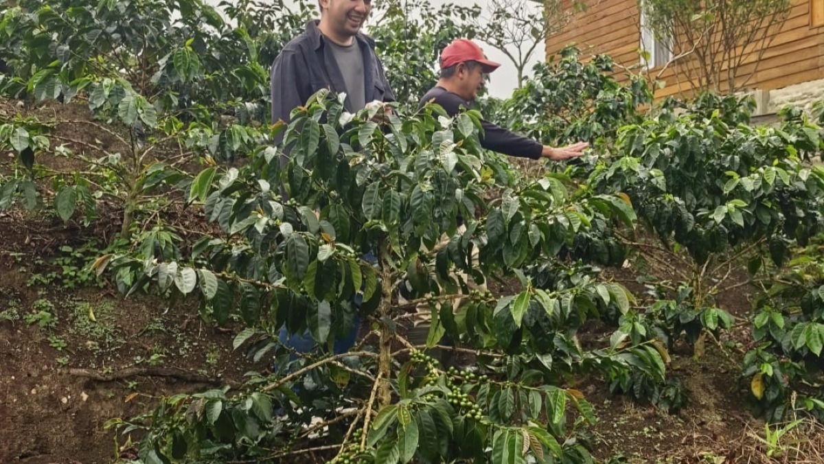 Paket Petik Kopi